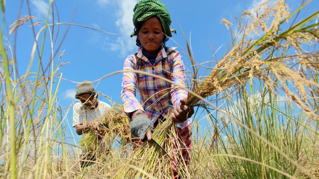 World Investment Forum to mobilize financing for climate, energy, health and food 20230912 NewsPic WIF23 1200x675